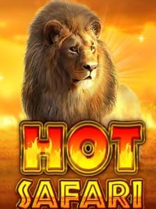 Hot Safari